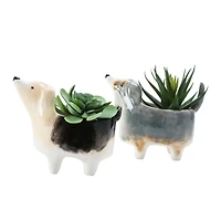 Hello Honey® Dolomite Dog Planter Set