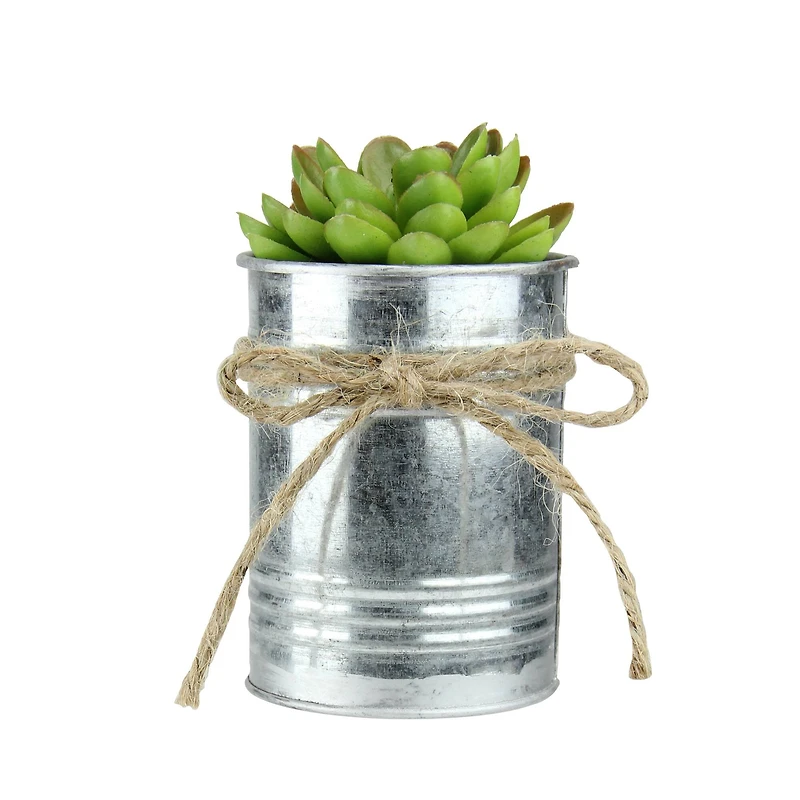 7" Lime Green Mini Sprouting Rose Succulent in Tin Planter