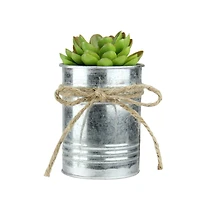7" Lime Green Mini Sprouting Rose Succulent in Tin Planter