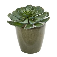 12" Echeveria Succulent in Planter
