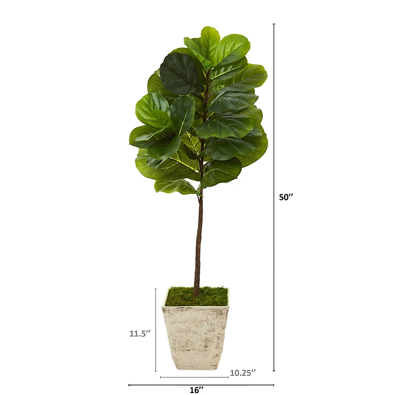 4ft. Fiddle Leaf Tree in Country White Planter