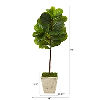 4ft. Fiddle Leaf Tree in Country White Planter