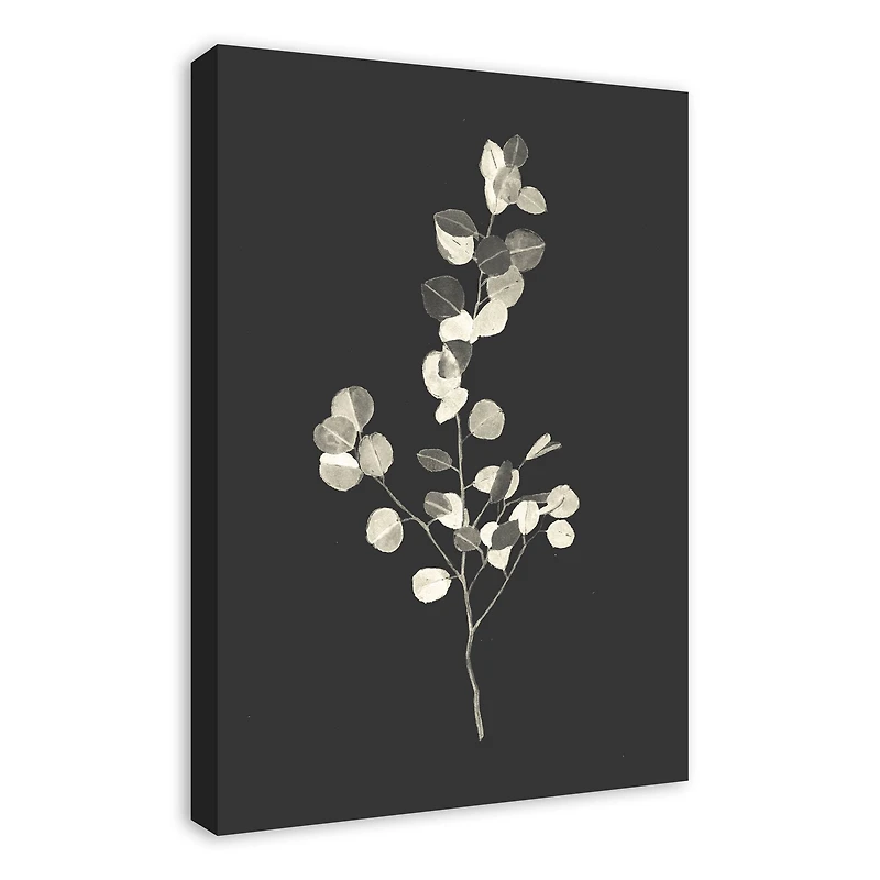 Cream Eucalyptus On Charcoal Canvas Wall Art