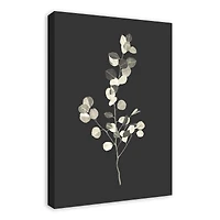 Cream Eucalyptus On Charcoal Canvas Wall Art