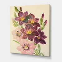 Designart - Retro Light and Dark Pink Gladiolus