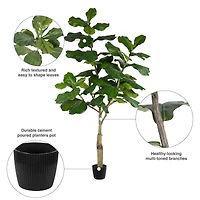 6ft. Potted Artificial Fiddle Tree