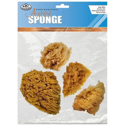 Royal Brush Yellow Sponge Set