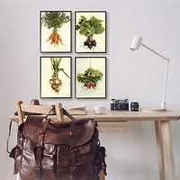 Stupell Industries Kitchen Vegetable Bunches Farm Radish Beets Carrots Onions Framed Wall Art