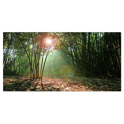 Designart - Amazing Green Forest at Sunset - Large landscape Canvas Art Print