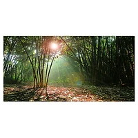 Designart - Amazing Green Forest at Sunset - Large landscape Canvas Art Print
