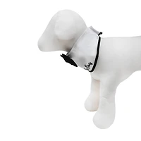 Best Furry Friends Bowtie Dog Collar