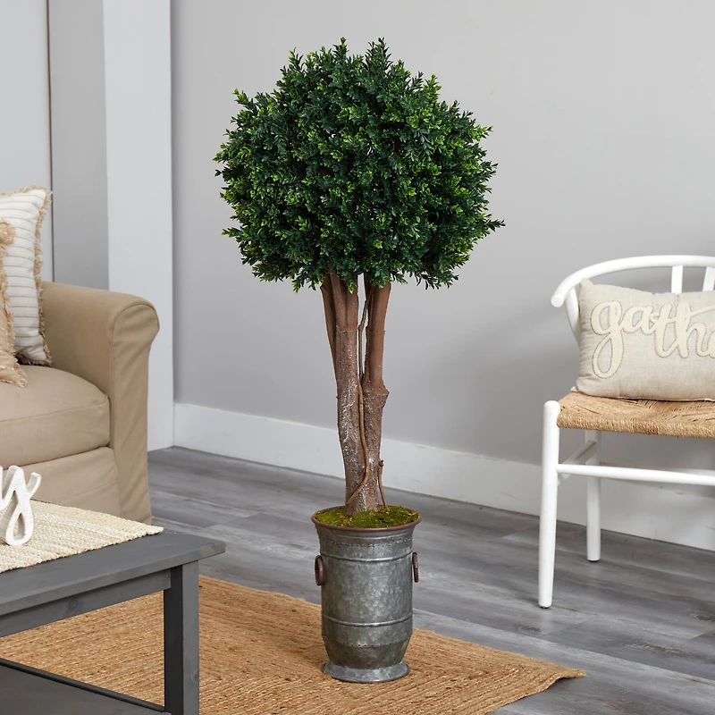 4.5ft. Boxwood Topiary Tree in Planter