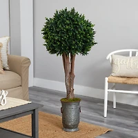 4.5ft. Boxwood Topiary Tree in Planter