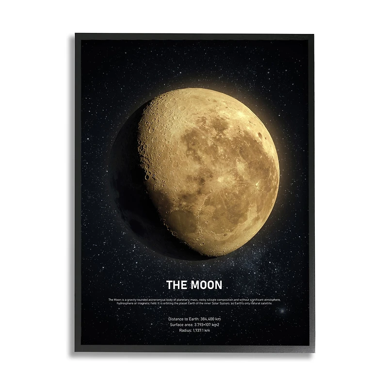 Stupell Industries Earth's Moon Celestial Facts Outer Space Infographic in Black Frame Wall Art