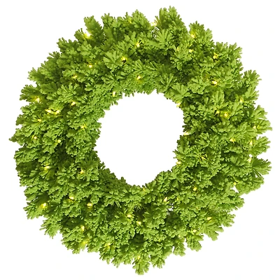 30" Pre-Lit Flocked Lime Fir Artificial Christmas Wreath, Lime Dura-Lit LED Lights