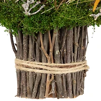 6.5" Bird's Nest with Eggs Easter Bundle Décor