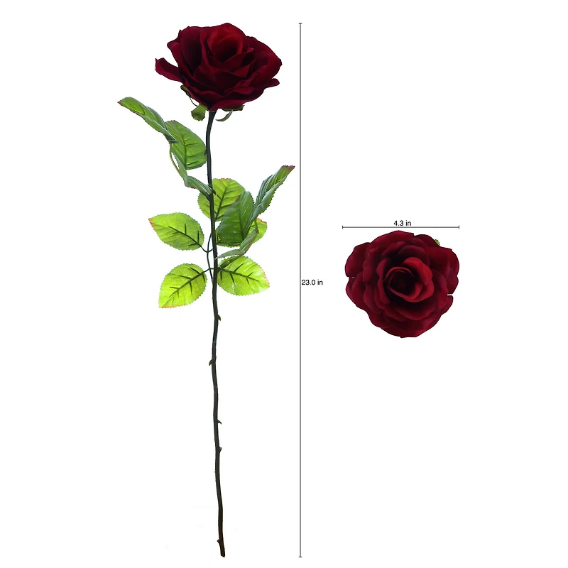 Burgundy Holland Rose Stem by Ashland®