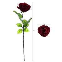 Burgundy Holland Rose Stem by Ashland®