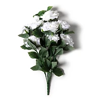 12 Pack: White Rose Bush by Ashland®