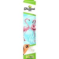 Diamond Art Intermediate Flamingo Duo Kit