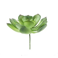 Flora Bunda® Large Little Gem Succulent Pick, 6ct.