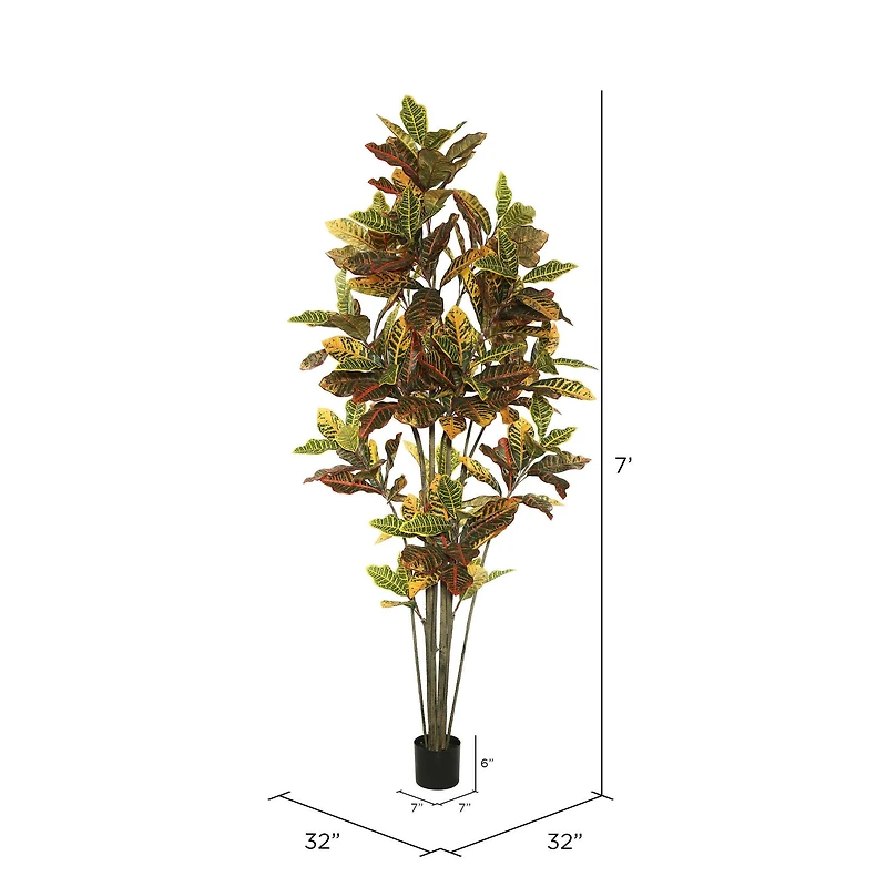 7ft. Potted Green & Orange Croton Tree