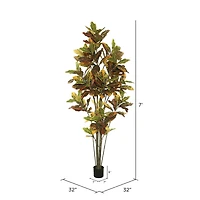 7ft. Potted Green & Orange Croton Tree