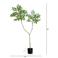 3.5ft. Potted Sumac Tree