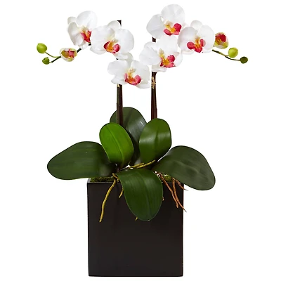 18.5" Double Mini Phalaenopsis Silk Orchid in Black Vase