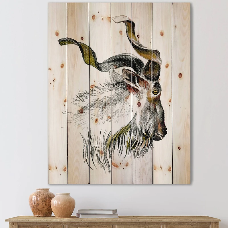 Designart - Monochrome Portrait Of Goat II