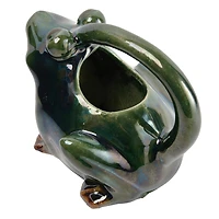 Hello Honey® 7.5" Green Stoneware Frog Watering Pitcher