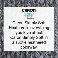 Caron® Simply Soft® Gray Heather Yarn