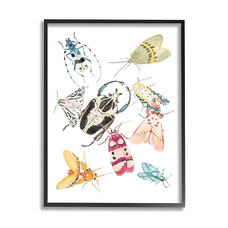 Stupell Industries Garden Insect Arrangement Wall Art in Black Frame