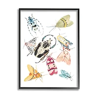 Stupell Industries Garden Insect Arrangement Wall Art in Black Frame