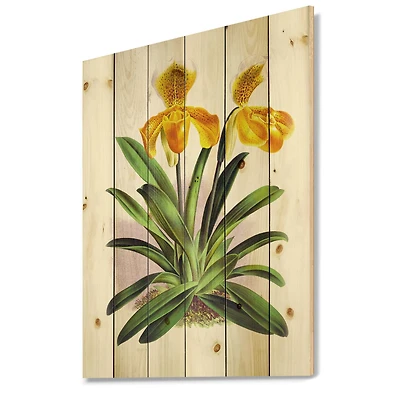 Designart - Vintage Yellow Orchid