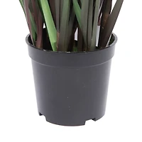 Artificial Potted Green Grass & Eucalyptus