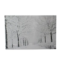 Fiber Optic Lighted Snowfall Winter Lane Christmas Canvas Wall Art