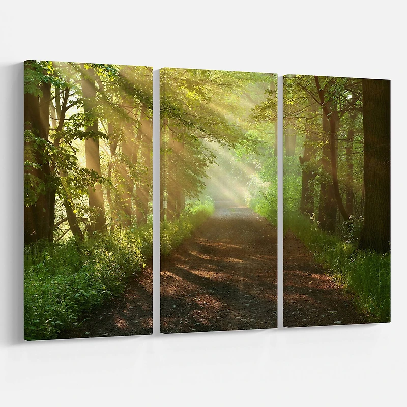 Designart - Suns Peeks into Forest