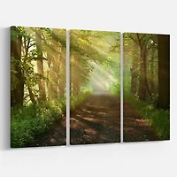 Designart - Suns Peeks into Forest