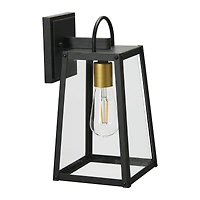 Hello Honey® Robert Stevenson Lighting Dorchester Oil Rubbed Bronze Metal & Glass Outdoor Light