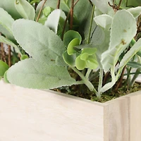 11" Lambs Ear Centerpiece in Woodgrain Planter