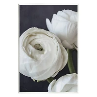 Stupell Industries Budding Ranunculus Flower Blooming Wall Plaque Art