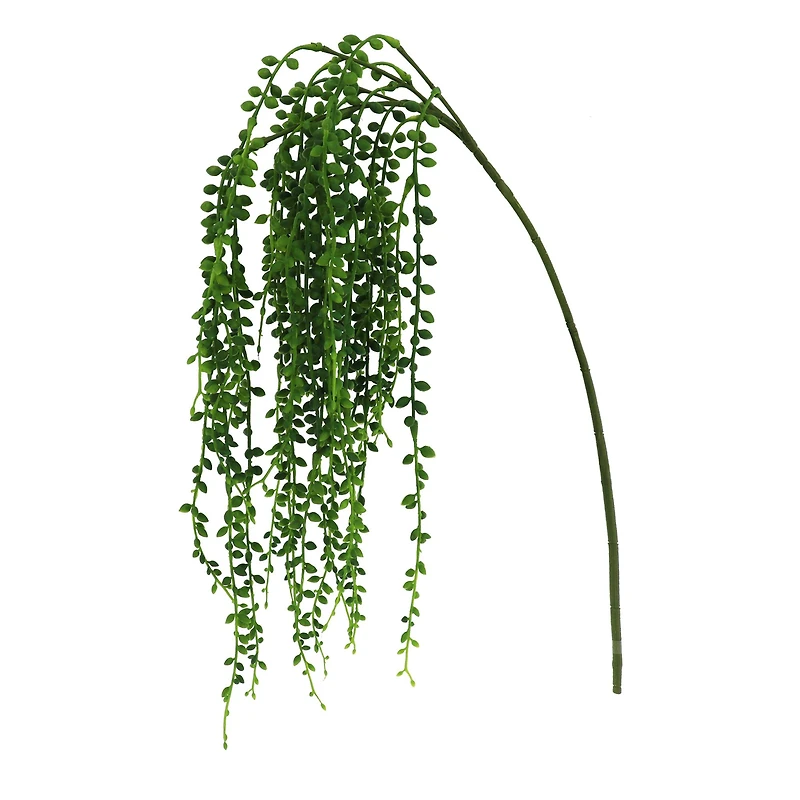 20" Hanging Succulent Stem by Ashland®