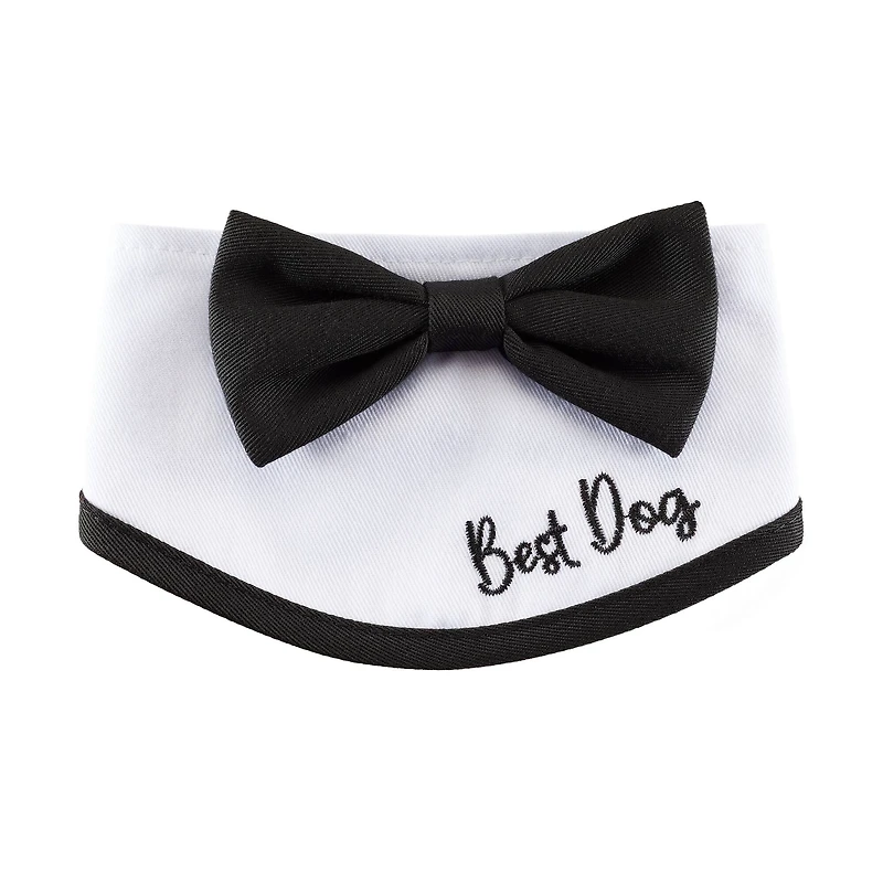 Best Furry Friends Bowtie Dog Collar