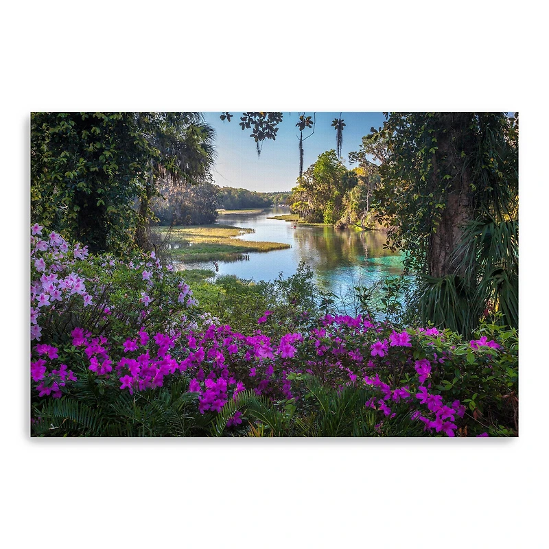 Rainbow Springs Canvas Giclee