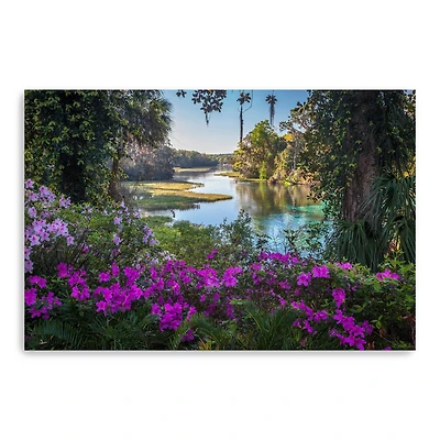 Rainbow Springs Canvas Giclee