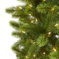 8ft. Pre-Lit Virginia Spruce Artificial Christmas Tree, Warm White LED Lights