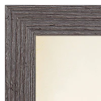 Wildflowers 16" x 24" Western Gray Framed Print