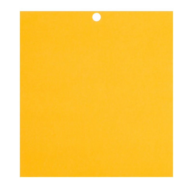 Citrus 6" x 6.5" Cardstock Paper by Recollections™, 100 Sheets