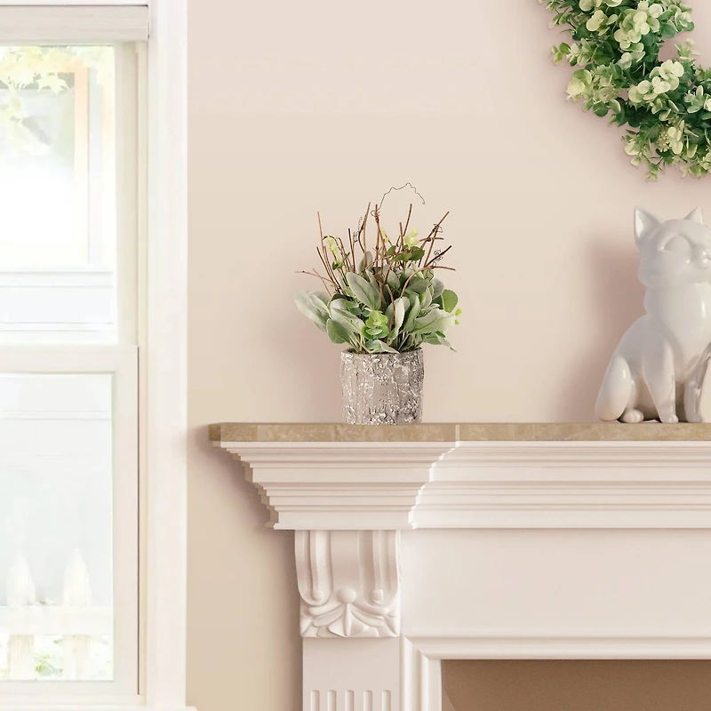 11" Lamb's Ear in Cement Pot